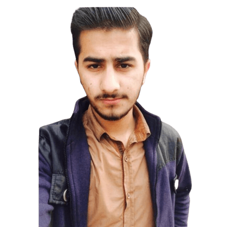 Sheikh Hussnain